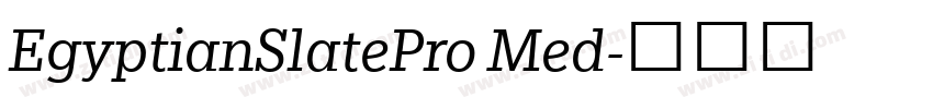 EgyptianSlatePro Med字体转换